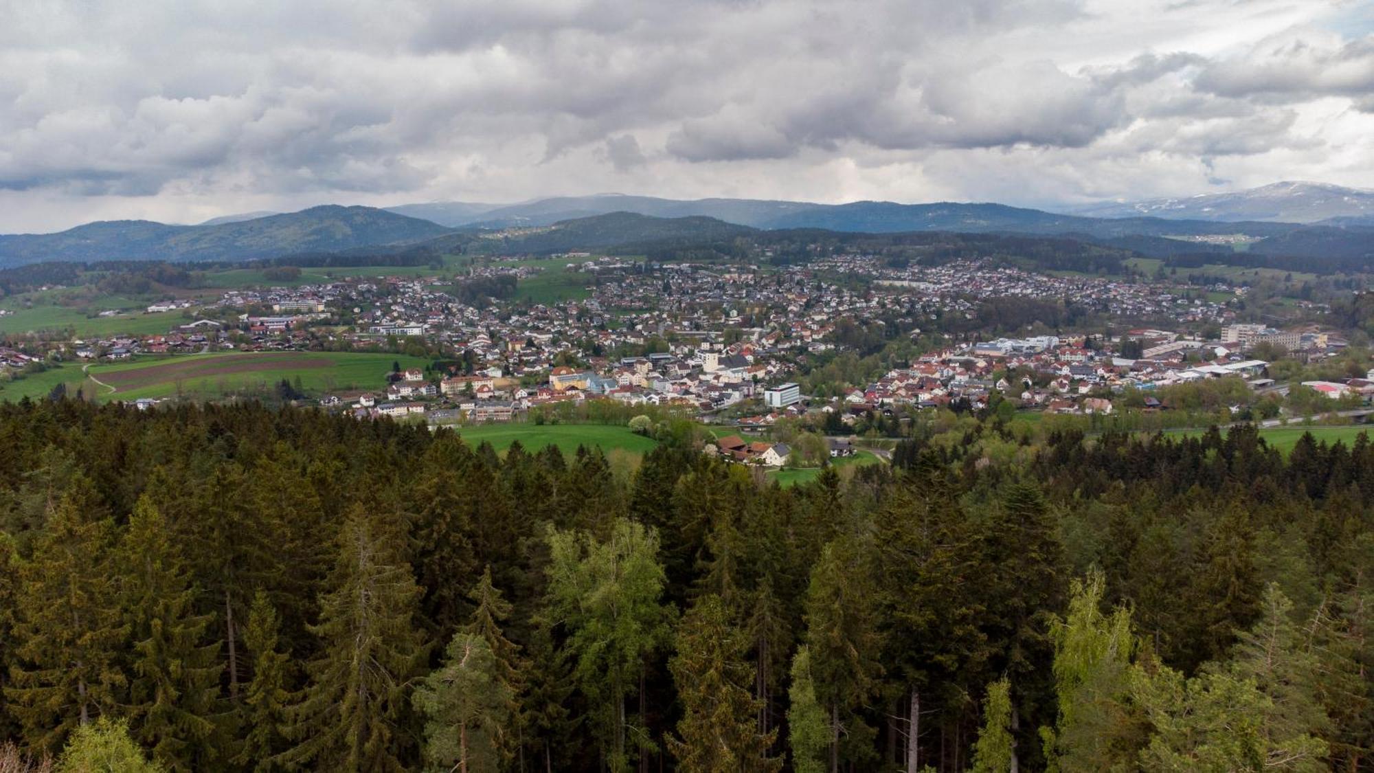 Bayerwaldchalet Реген Экстерьер фото